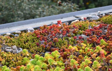 the cost of Trebyan green roof installation